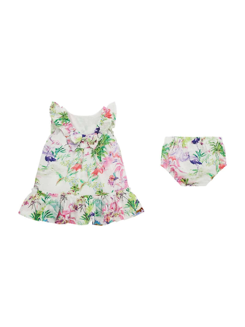 Plumetis Dress Set (0-9M)
