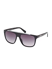 Aviator Sunglasses