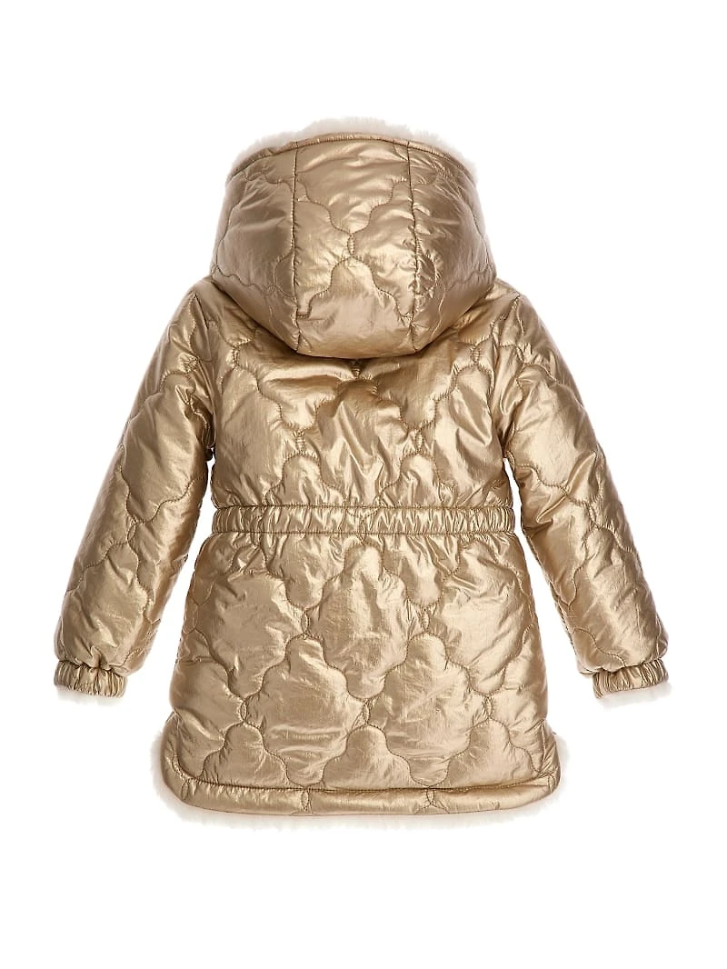 Metallic Nylon Reversible Jacket (2-7)