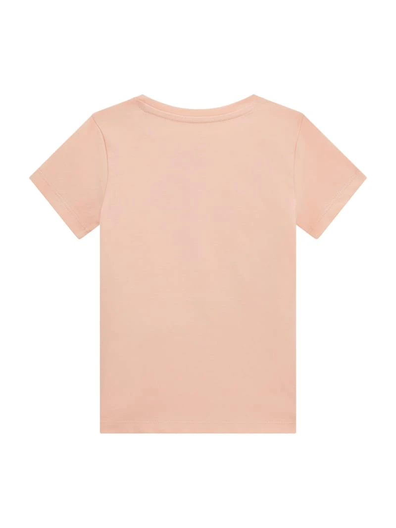 Eco Signature Triangle Tee (3M-7)
