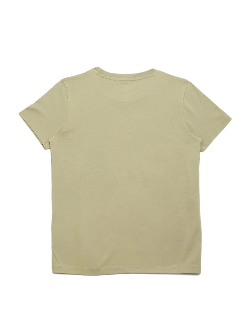 Eco Ganders Comic Tee (7-16