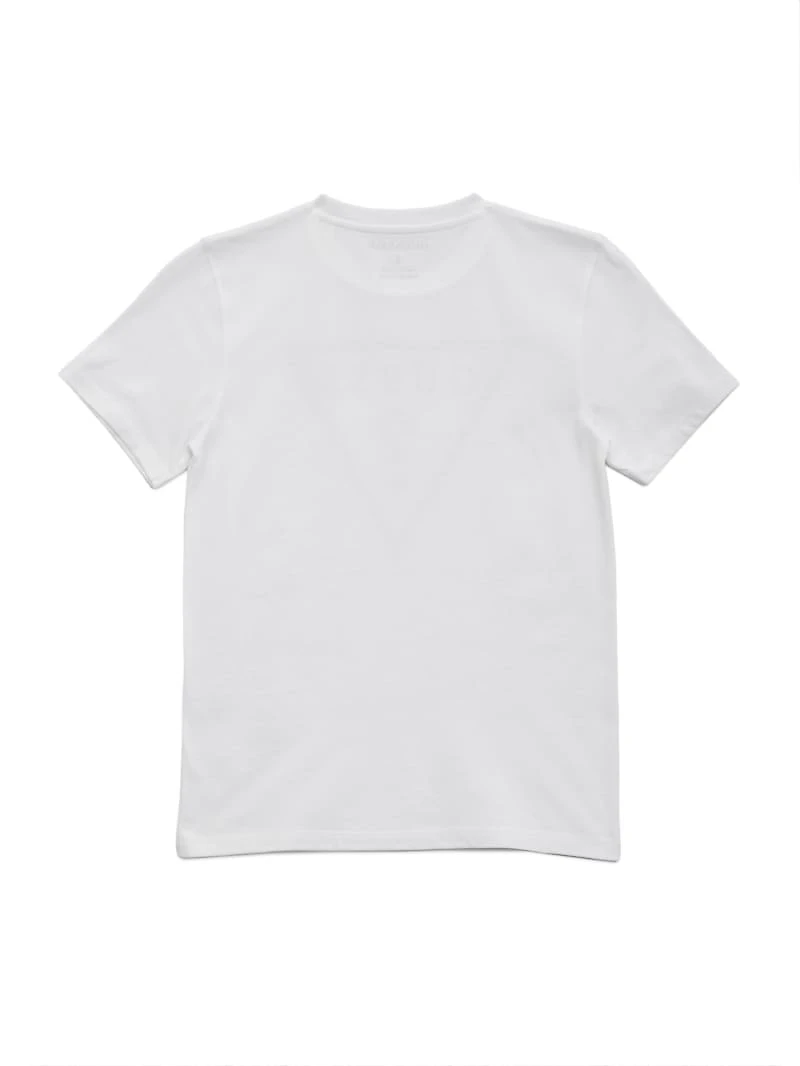 Erikk Logo Crewneck Tee (7-16