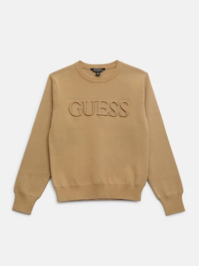 Astero Logo Sweater (7-16