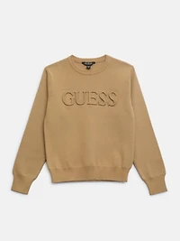 Astero Logo Sweater (7-16