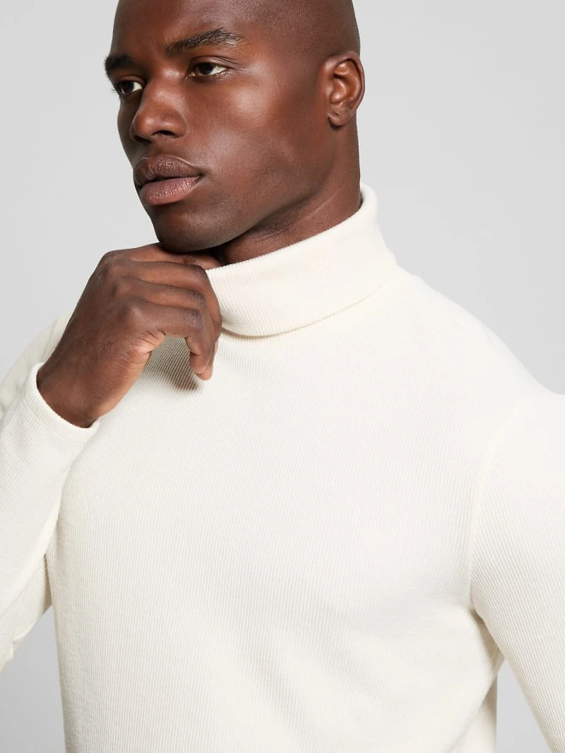 Reeves Ribbed Turtleneck Sweater
