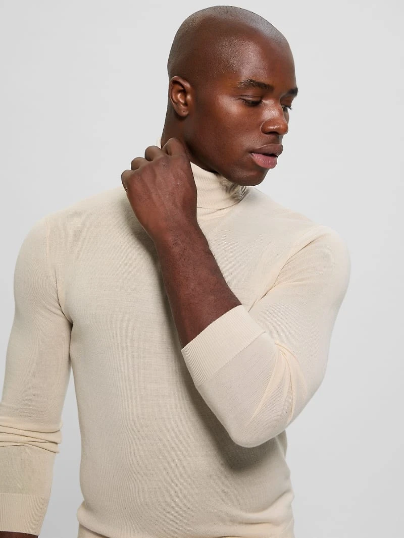 Fred Wool Turtleneck Sweater