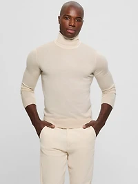 Fred Wool Turtleneck Sweater