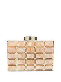 Emma Lucite Clutch