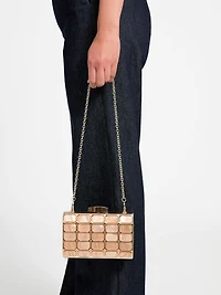 Emma Lucite Clutch