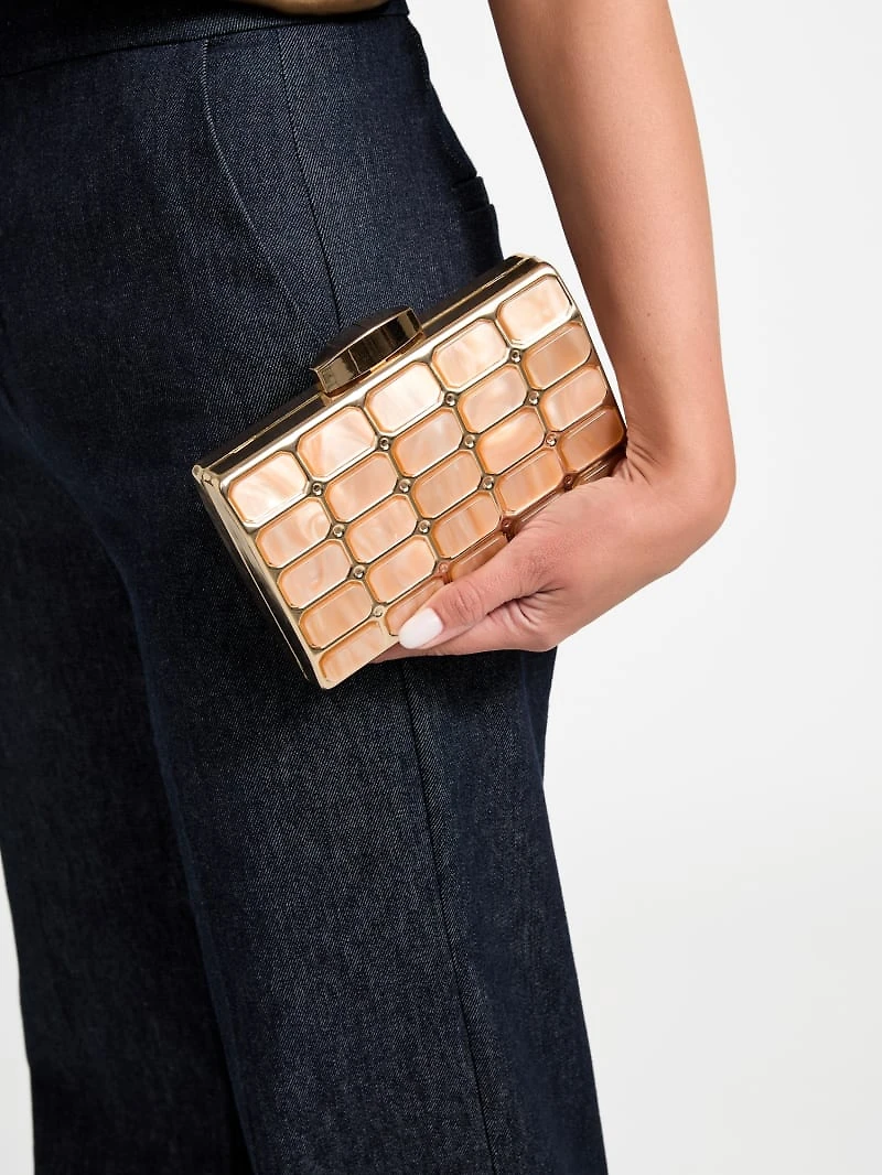 Emma Lucite Clutch