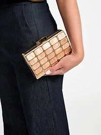 Emma Lucite Clutch