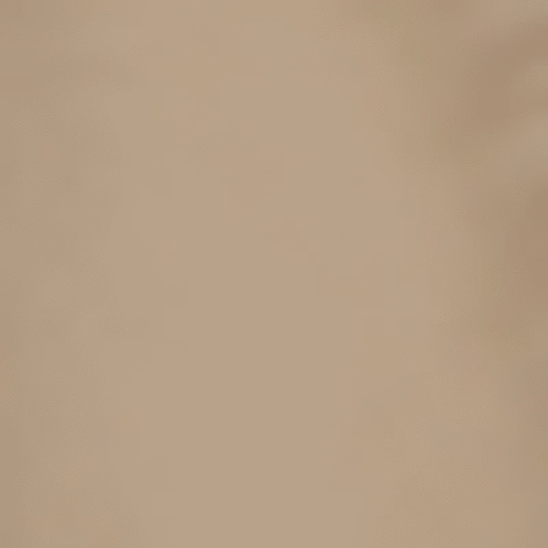 Megan Cargo Satin Pants