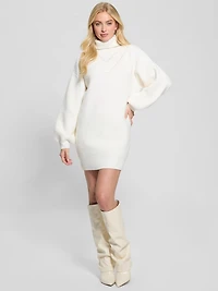 Eco Katie Turtleneck Sweater Dress