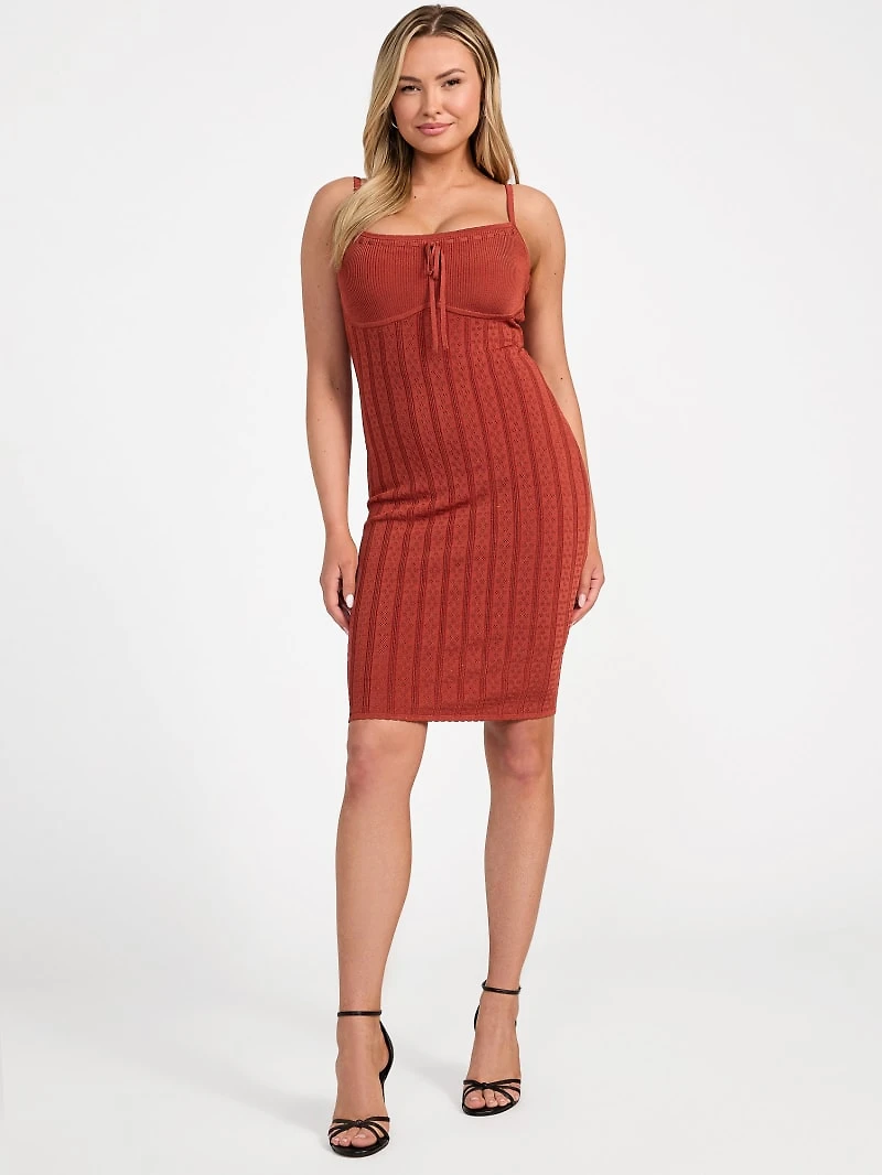 Reina Pointelle Sweater Dress