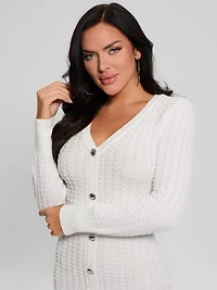 Josie Button Sweater Dress