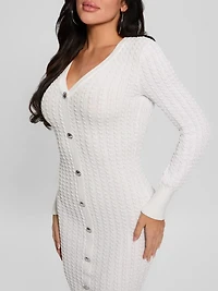 Josie Button Sweater Dress
