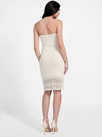 Leah Strapless Tube Dress