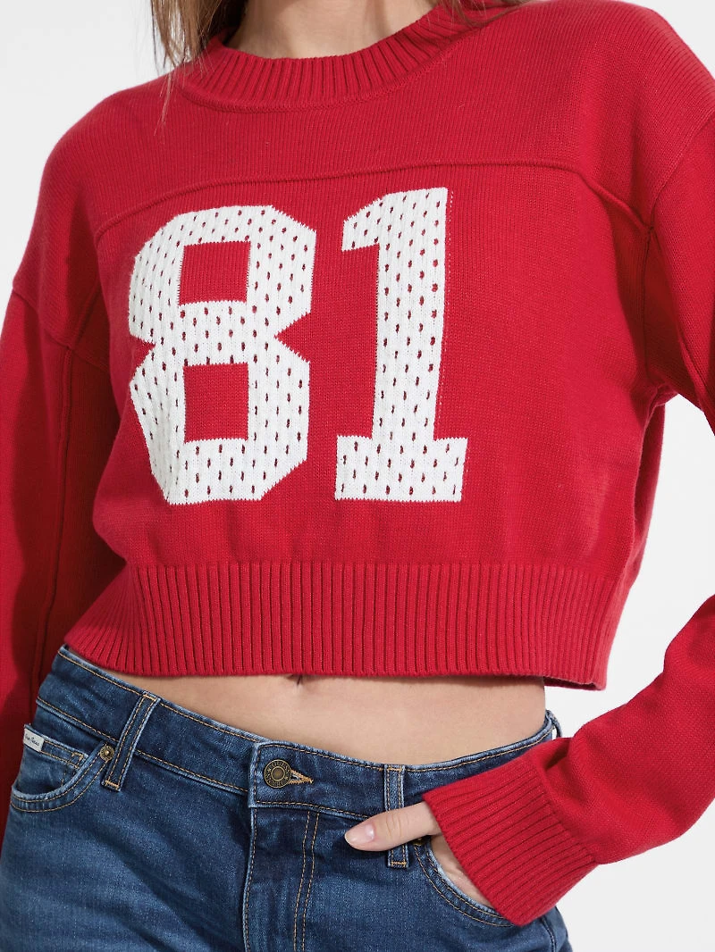 Cropped 81 Sweater Top