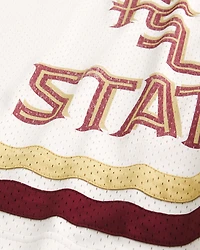 Florida State University Seminoles Graphic Football Jersey
