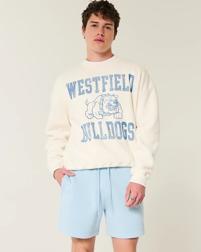 Hollister Feel Good Fleece Mid-Thigh Loose Shorts