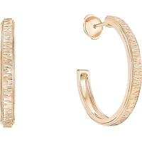 Possession hoop earrings