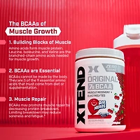 Xtend Original 30 serv Strawberry Kiwi Splash