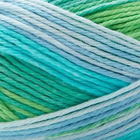 Premier® Cotton Sprout™ Worsted Multi Yarn