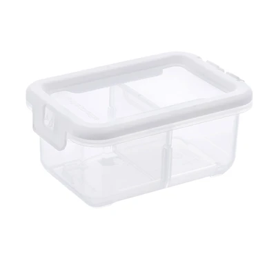 Ezy Storage 2-Compartment Storage Box