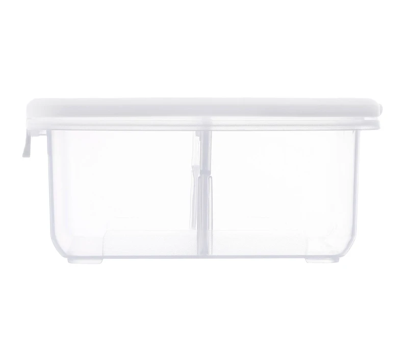 Ezy Storage 2-Compartment Storage Box
