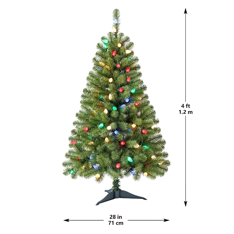 4ft. Pre-Lit Lakewood Spruce Artifical Christmas Tree, C7 Multicolor LED Lights by Ashland®