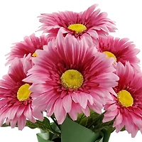 14" Potted Daisy by Ashland