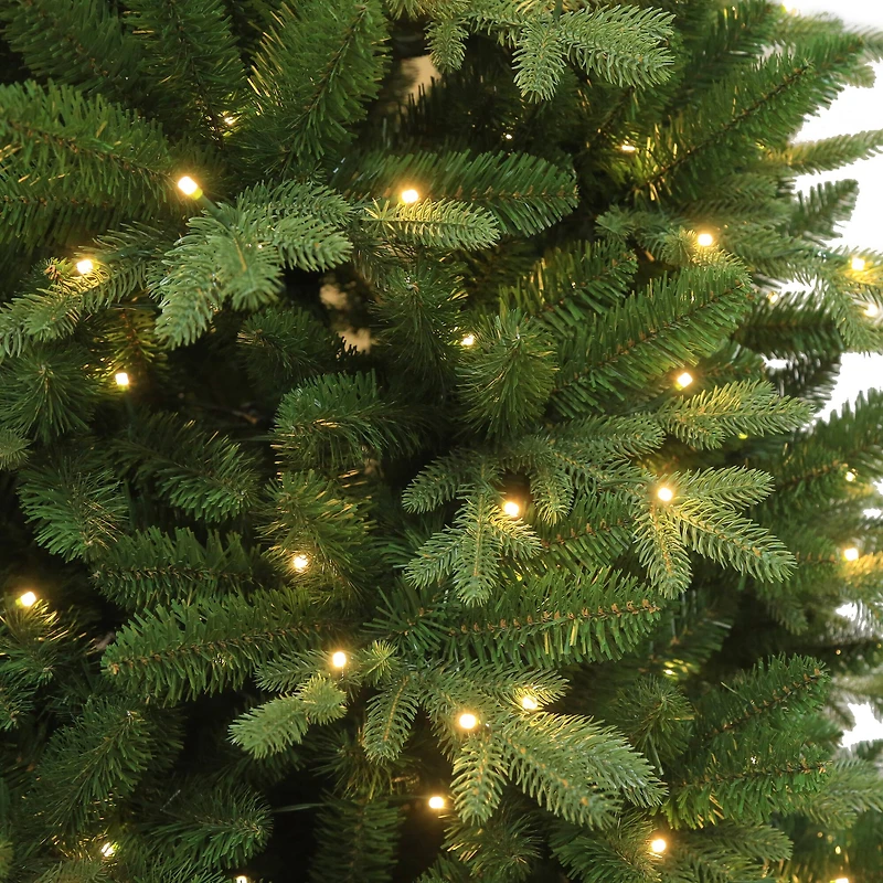 7.5ft. Pre-Lit Melody Spruce Artificial Christmas Tree, Music Sync Color Changing Mini LED Lights by Ashland®