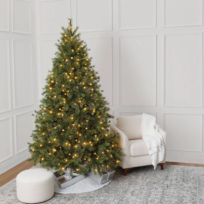 7.5ft. Pre-Lit Jackson Spruce Artificial Christmas Tree, Warm White LED Lights by Ashland®