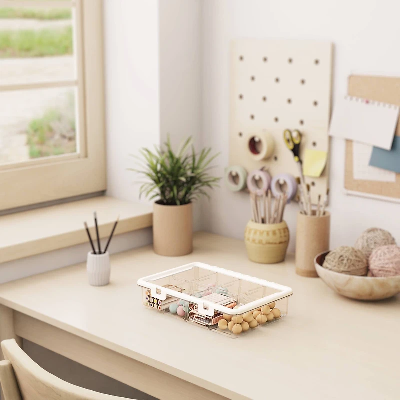 Ezy Storage 8-Compartment Storage Box