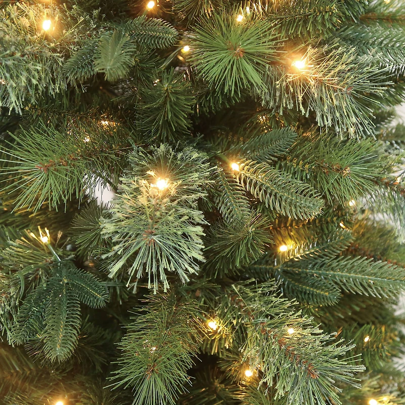 6ft. Pre-Lit Sierra Spruce Artificial Christmas Tree, Warm White LED Lights by Ashland®