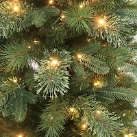 6ft. Pre-Lit Sierra Spruce Artificial Christmas Tree, Warm White LED Lights by Ashland®