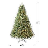 7.5ft. Pre-Lit Jackson Spruce Artificial Christmas Tree, Warm White LED Lights by Ashland®