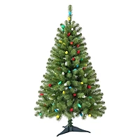 4ft. Pre-Lit Lakewood Spruce Artifical Christmas Tree, C7 Multicolor LED Lights by Ashland®
