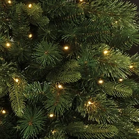 7ft. Pre-Lit Gilded Spruce Artificial Christmas Tree, Warm White LED Lights by Ashland®