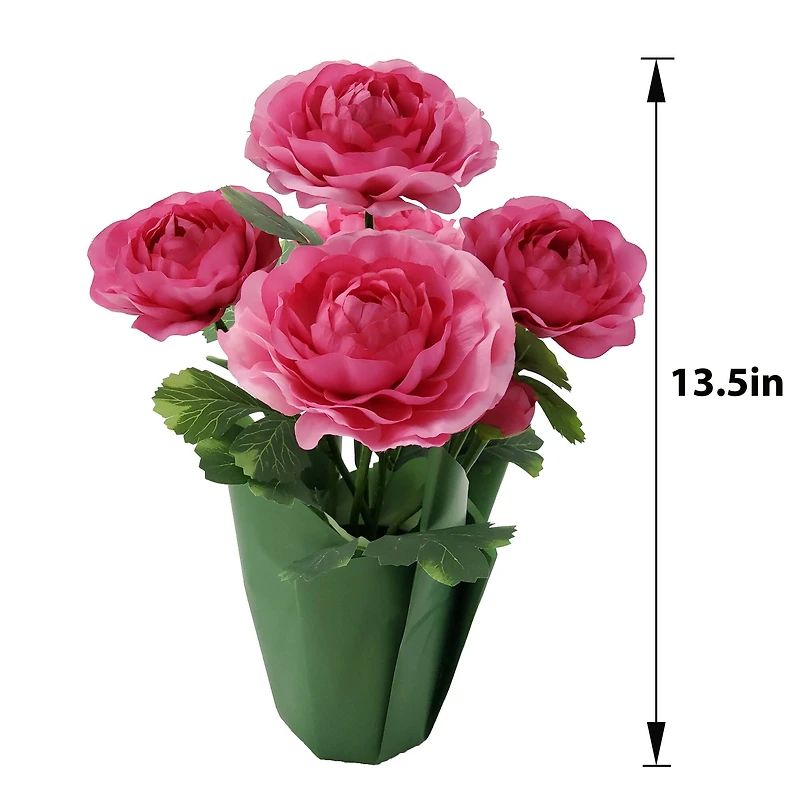 14" Potted Ranunculus by Ashland