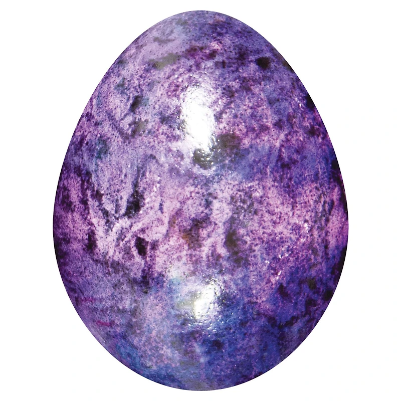 PAAS® Cosmic Egg Decorating Kit