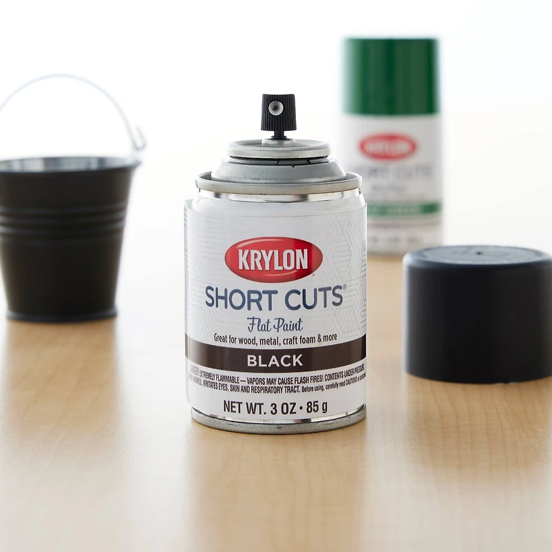 Krylon® Short Cuts® Flat Enamel