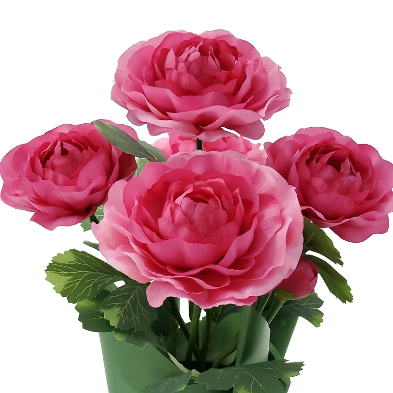 14" Potted Ranunculus by Ashland