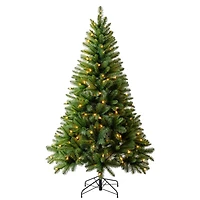 6ft. Pre-Lit Windham Spruce Artificial Christmas Tree, Warm White LED Lights by Ashland®