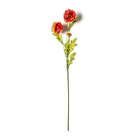 Ashland® Ranunculus Spray