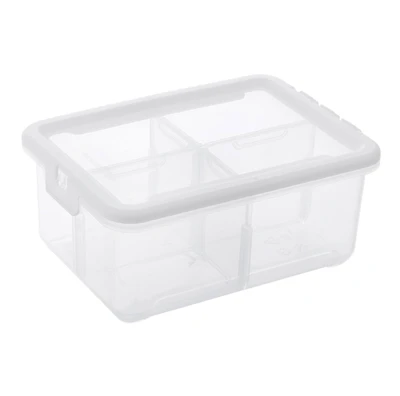 Ezy Storage 4-Compartment Storage Box