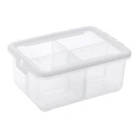 Ezy Storage 4-Compartment Storage Box