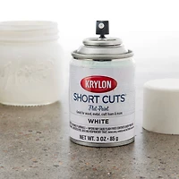 Krylon® Short Cuts® Flat Enamel