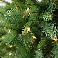 6ft. Pre-Lit Windham Spruce Artificial Christmas Tree, Warm White LED Lights by Ashland®