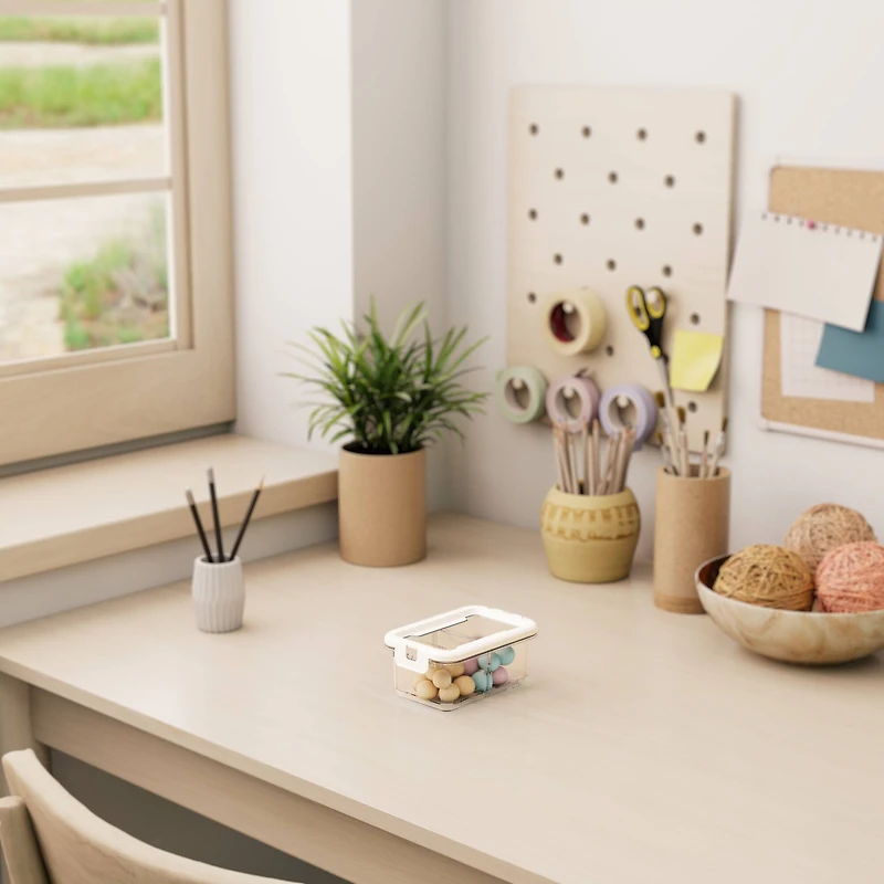 Ezy Storage 2-Compartment Storage Box